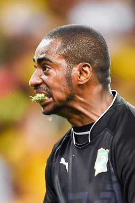 Boubacar Barry Ivory Coast eating grass celebration