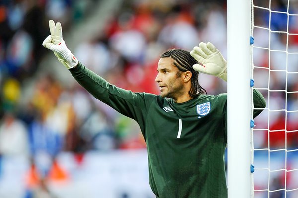 David James v Slovenia