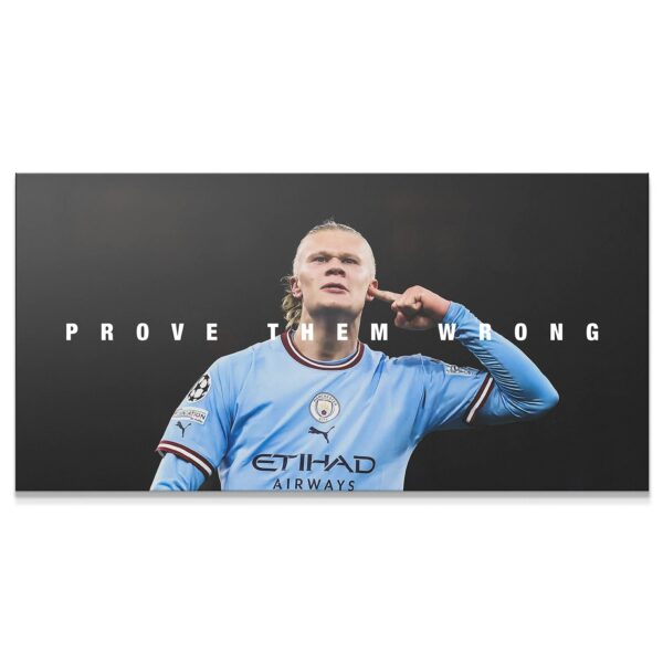 Erling Haaland — Prove Them Wrong
