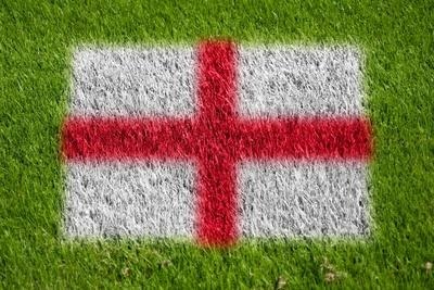 England Flag on Grass — Poster