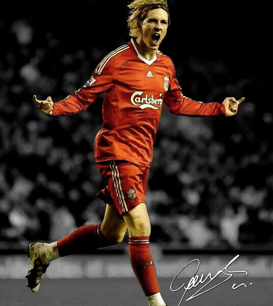 Fernando Torres — Liverpool Celebration Poster