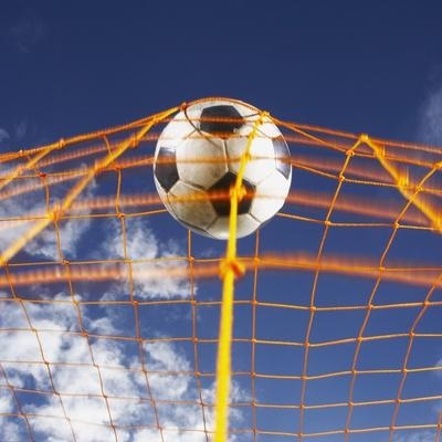 Soccer Ball in the Net — Goal Poster